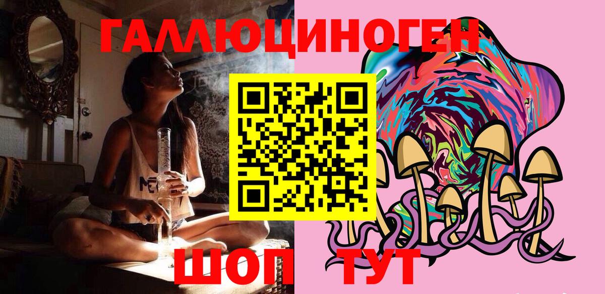 Сальск  сколько стоит  Вход с VPN  Галлюциногенные грибы Psilocybine cubensis 